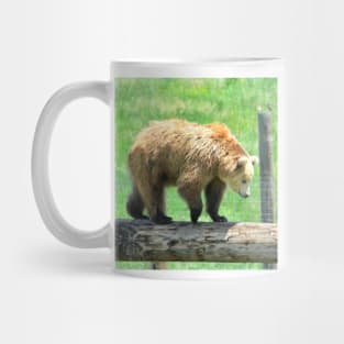 Young Grizzly Bear Mug